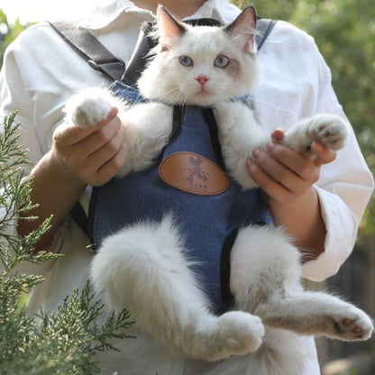Portable cat backpack